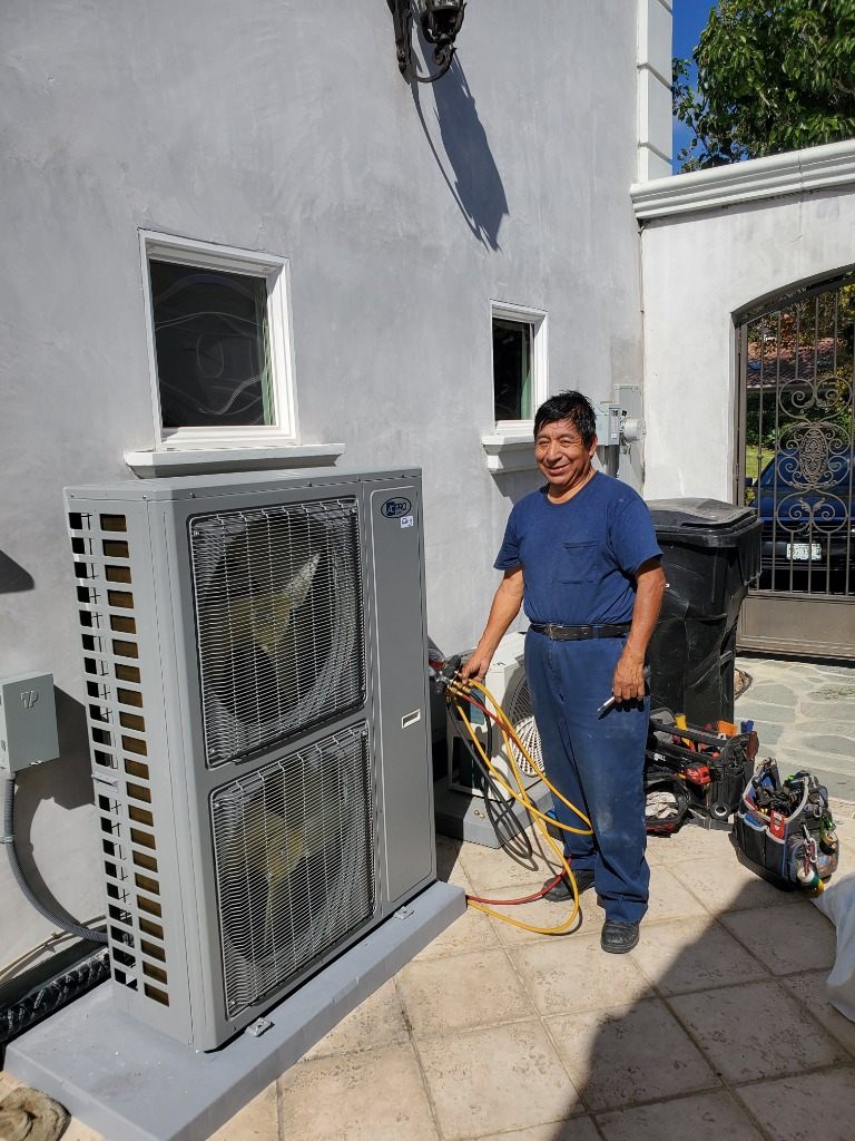 Pascual Vargas Owner